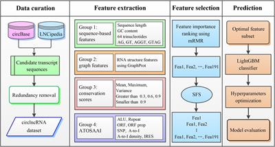 Identifying Circular RNA and Predicting Its Regulatory Interactions by Machine Learning